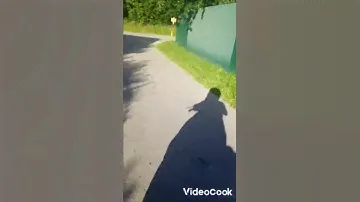 Покотушка - Зид 50 И Сутер