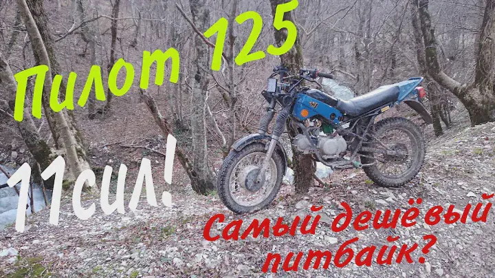 🔥Зид Пилот 125🔥. Самый дешевый питбайк? Покатушки🚀