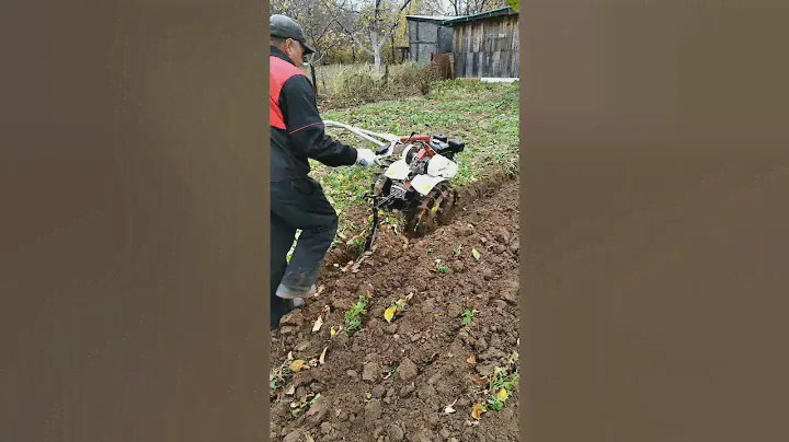 Мотоблок Фаворит с плугом.
