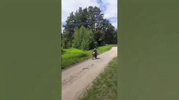 Зид Пилот