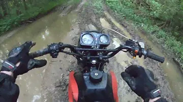 Lifan GY5 200 vs Лес  Off road с Avantis LUX 250