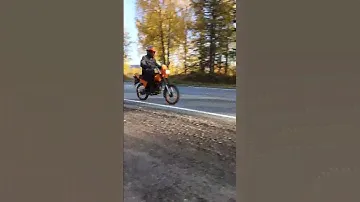 зид пилот 50