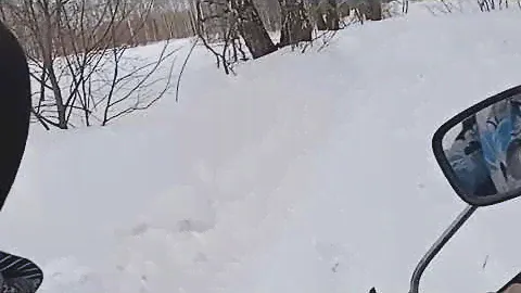 ЗДК 175-ШП