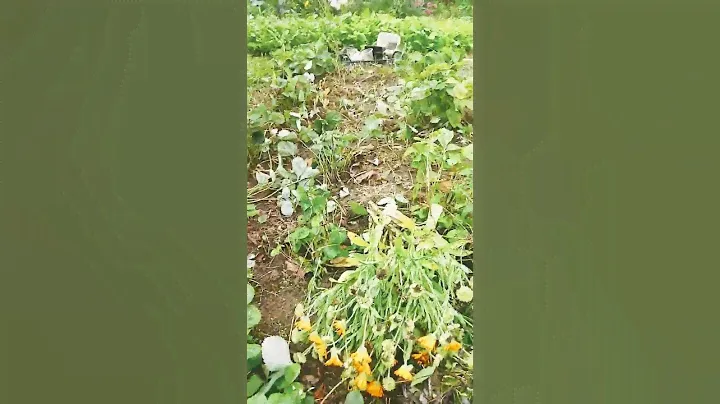 лЮбЛю ПеЧеНьКи  с мАЛаЧкОм