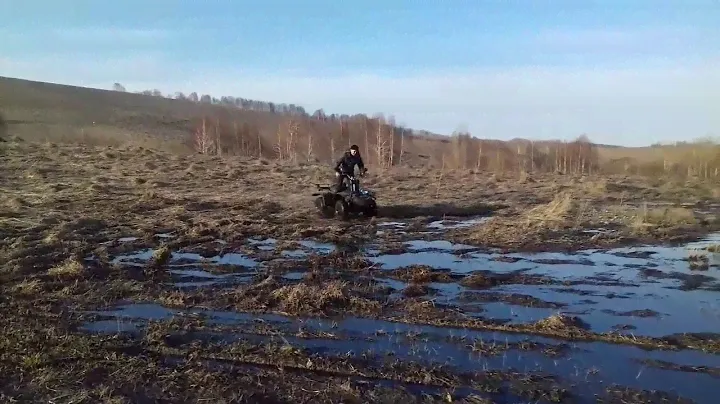 ЗИД 175 4 шп