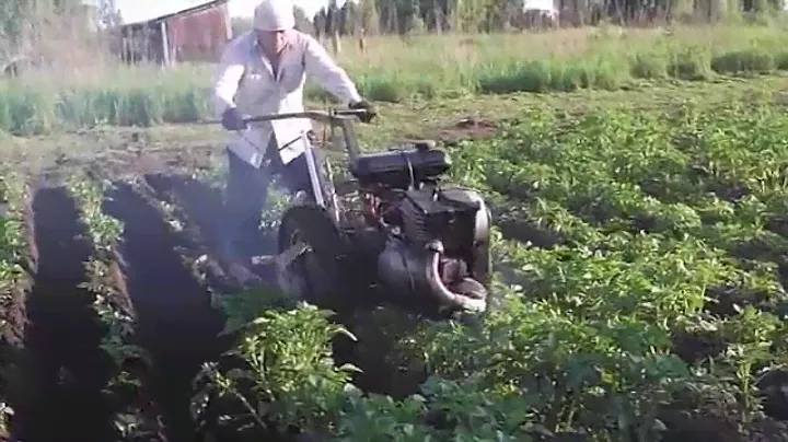 Мотоблок здк 4 905  окучиваем картошку