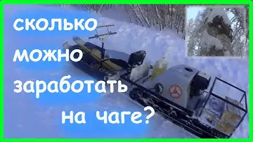 ЗА ЧАГОЙ НА МОТОБУКСИРОВЩИКЕ // Деньги на деревьях