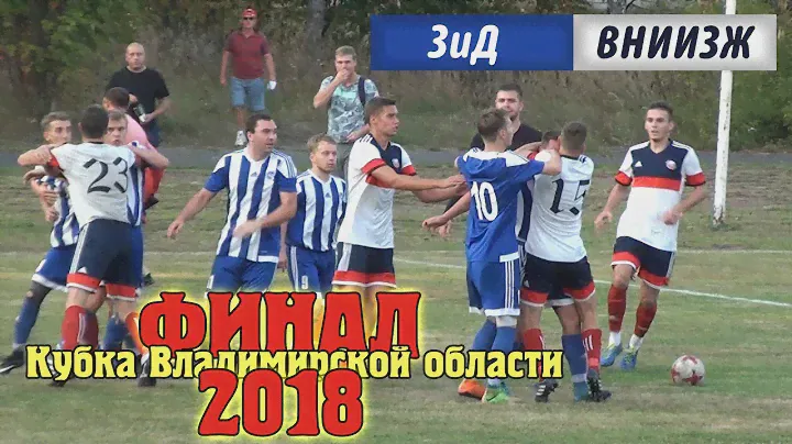 Кубок области. Финал. ЗиД - ВНИИЗЖ