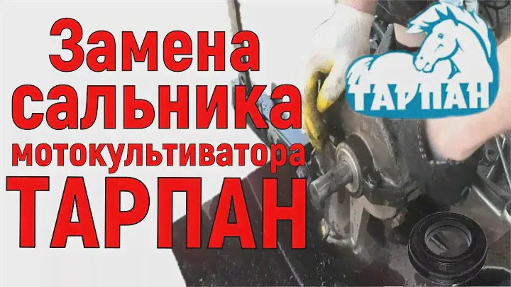 Замена сальника редуктора мотокультиватора Тарпан ТМЗ-МК03
