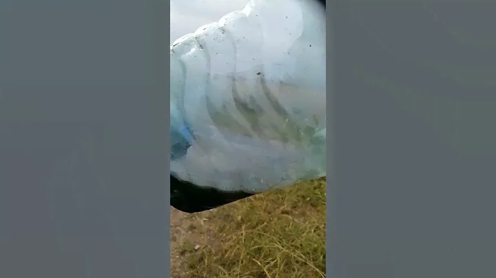 Zid 250 лис. замена масла на 100км. зид 166ffm