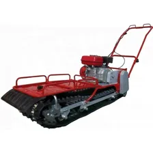 Мотобуксировщик ЗиД МБГ-1 Фишкар (FishCar)